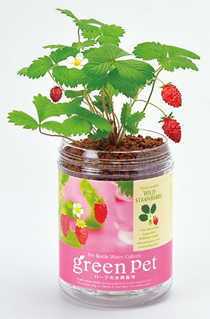 グリーンペット ミニトマト・ワイルドストロベリー・スイートバジル 各