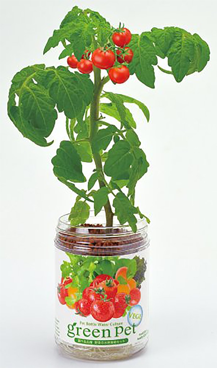 グリーンペット ミニトマト・ワイルドストロベリー・スイートバジル 各