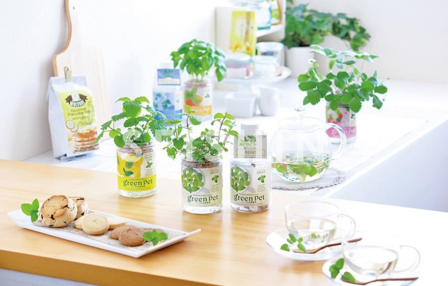 グリーンペット ミニトマト・ワイルドストロベリー・スイートバジル 各