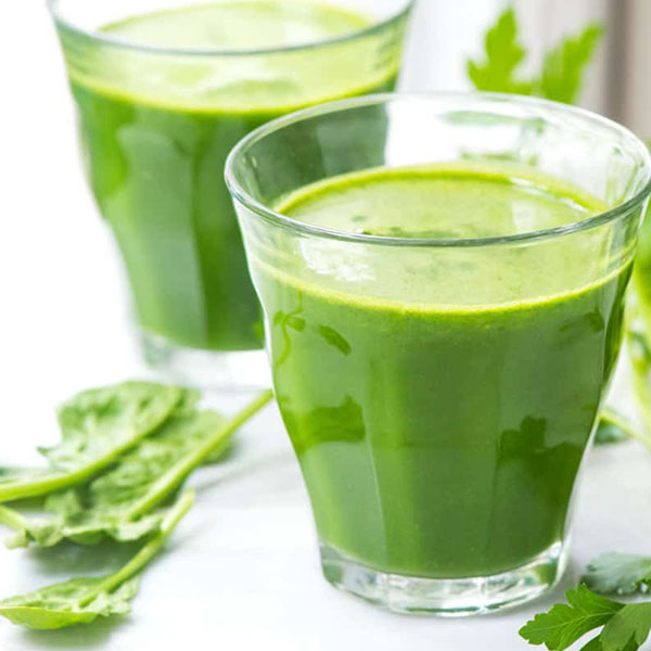 「ポルトガルケールの苗 お買い得3個セット」【野菜苗9cmポットお買い得3個セット】