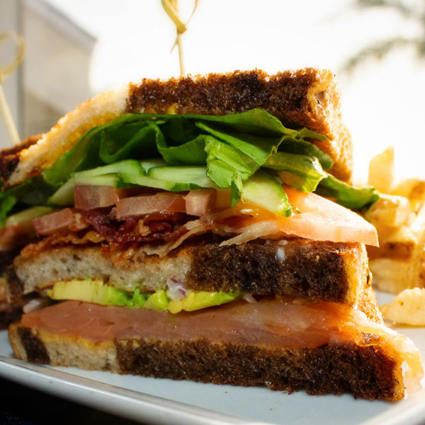 「ポルトガルケールの苗 お買い得3個セット」【野菜苗9cmポットお買い得3個セット】