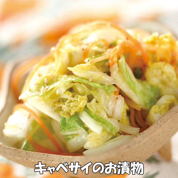 「キャベサイの苗 お買い得3個セット」【野菜苗9cmポット お買い得3個セット】