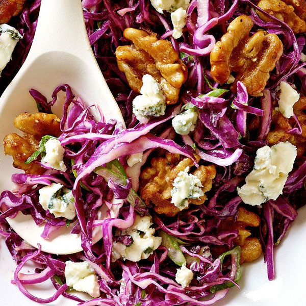 「紫サラダキャベツ”キャンディーレッドの苗”お買い得3個セット」【野菜苗9cmポット お買い得3個セット】