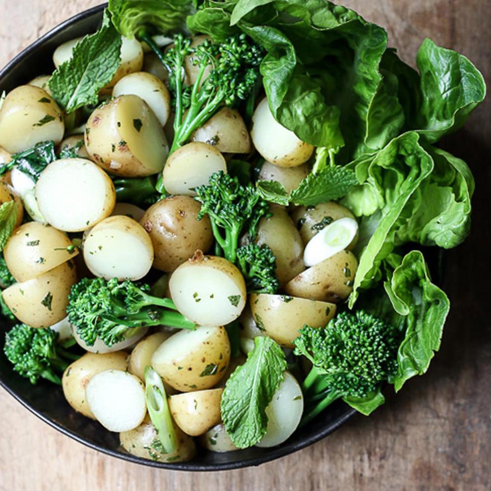 イングリッシュミント 10.5cm2個～【おうちで簡単！育てやすい10.5cmポットハーブ苗シリーズ！】