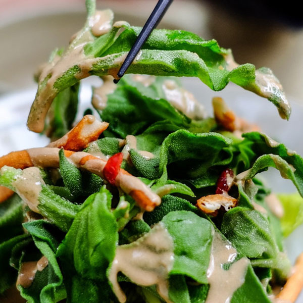 「”アイスプラントの大苗(品種=プチサラ)”サラダや料理の付け合わせに使えるプチプチとした食感が新しいアイスプラントを繰り返し収穫可能！室内・戸外栽培用大苗 肥料付き”これだけでOKシリーズ”」