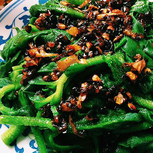 「”アイスプラントの大苗(品種=プチサラ)”サラダや料理の付け合わせに使えるプチプチとした食感が新しいアイスプラントを繰り返し収穫可能！室内・戸外栽培用大苗 肥料付き”これだけでOKシリーズ”」