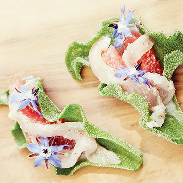 「”アイスプラントの大苗(品種=プチサラ)”サラダや料理の付け合わせに使えるプチプチとした食感が新しいアイスプラントを繰り返し収穫可能！室内・戸外栽培用大苗 肥料付き”これだけでOKシリーズ”」