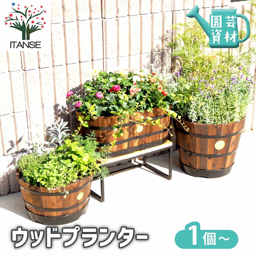 ウッドプランター 【資材 】｜ 【植物のITANSE】全品送料無料