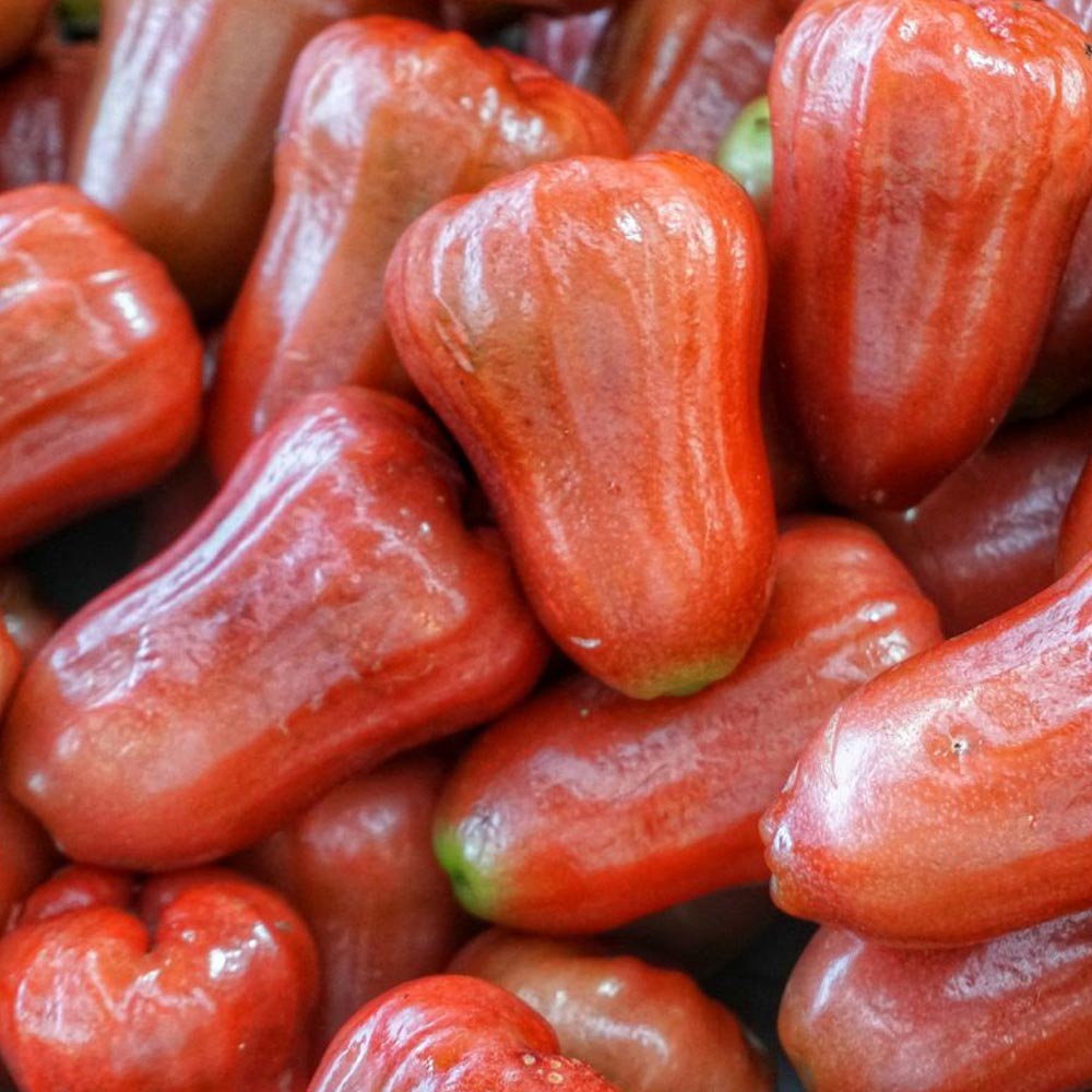 Itanse良品ｾﾚｸﾄ通販