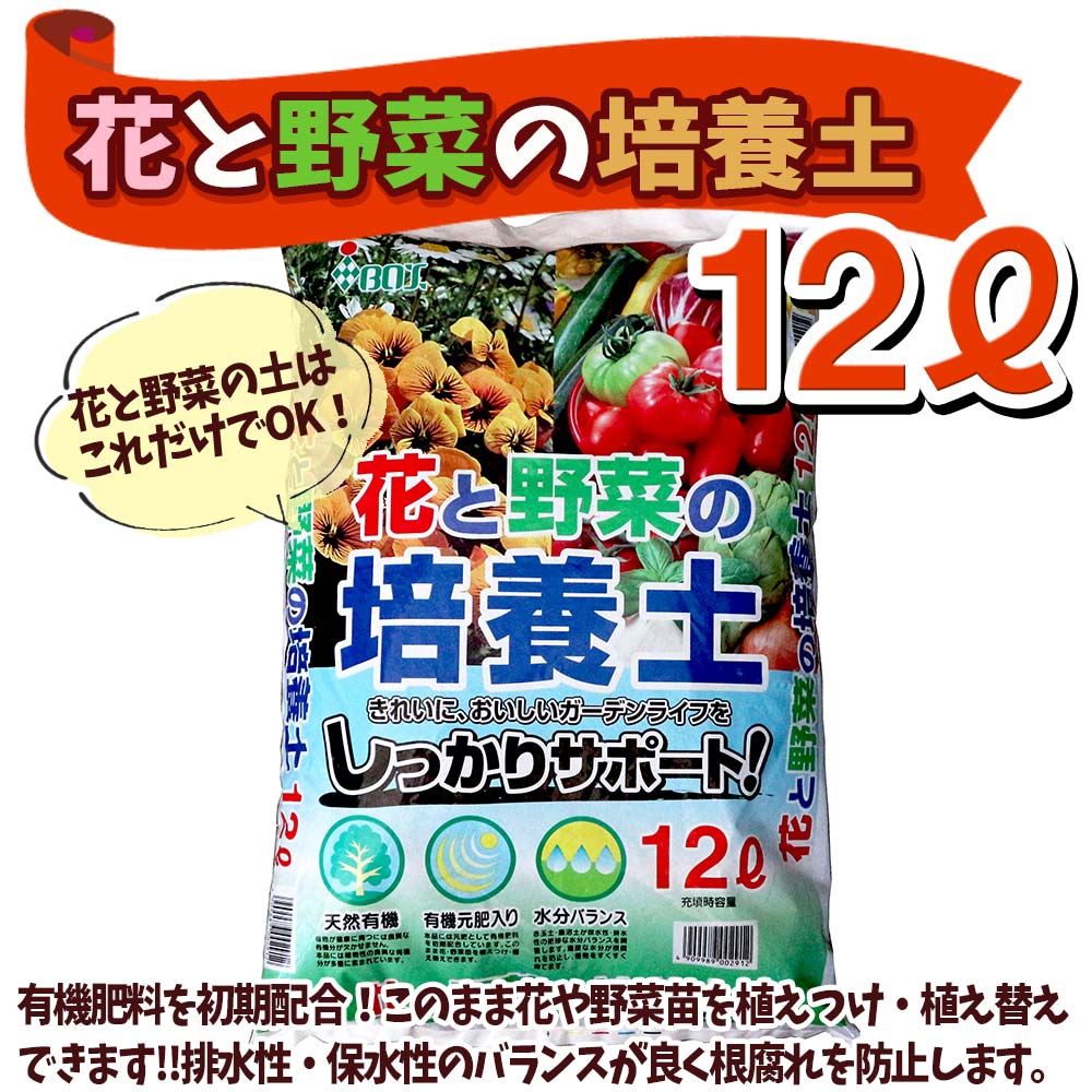 栽培セット ミニトマト苗 プチぷよⅡ 赤実【野菜の苗 9cm～10.5cmポット苗／お買い得2個セット】