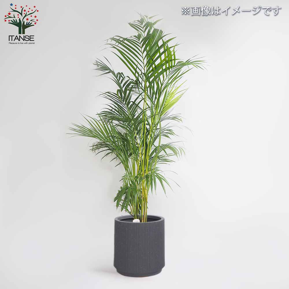 鉢カバー リーニュバーティカルスタンド鉢グレイ  【鉢カバー ／1個売り】