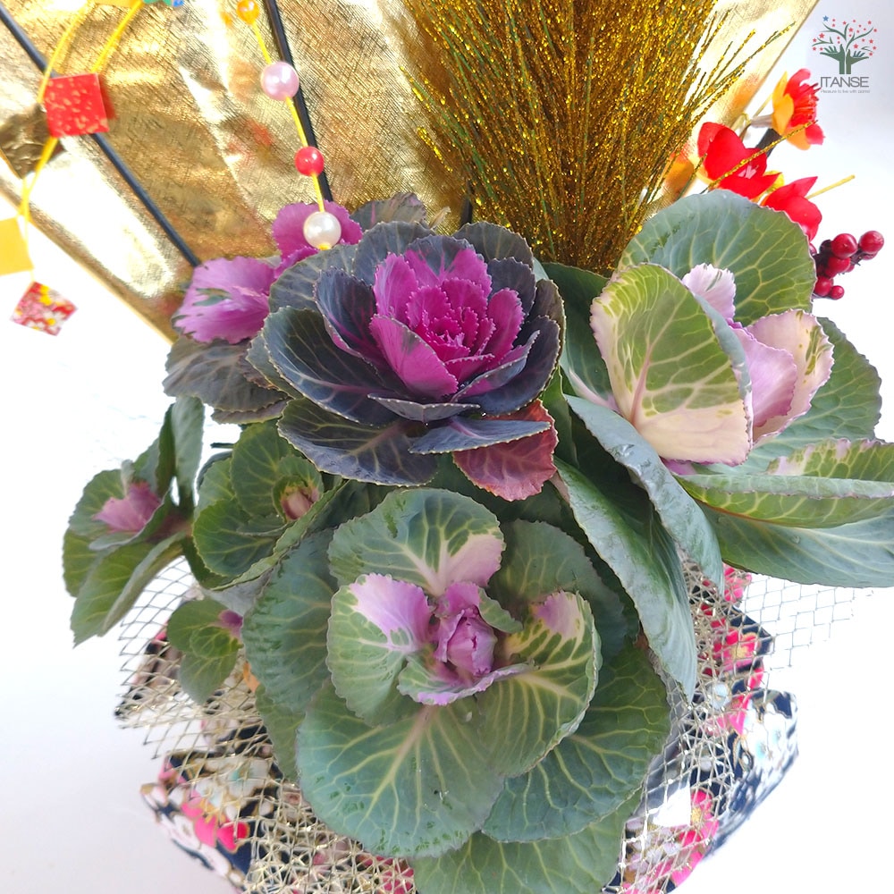 お正月飾り 迎春華つづみ アレンジ【4号鉢 (サイズイメージ：高さ約