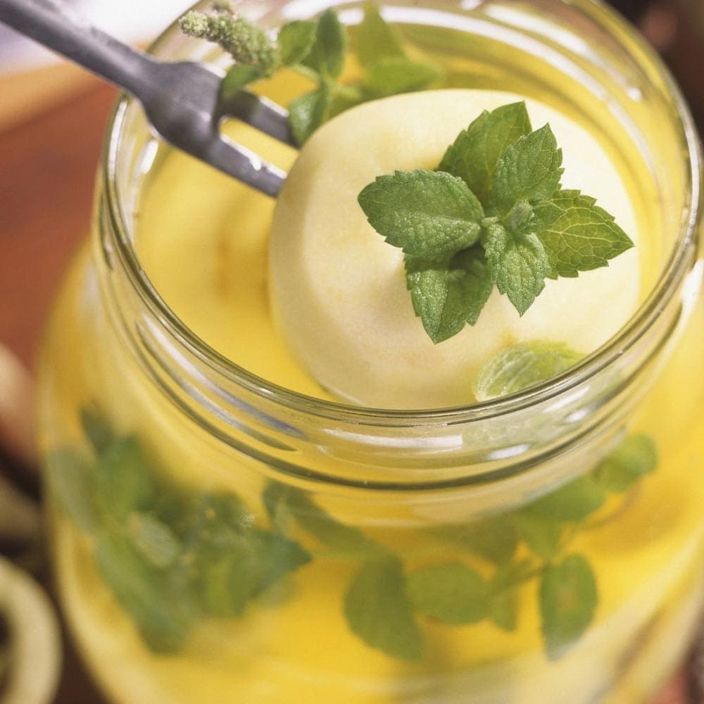 アップルミント 10.5cm2個～【おうちで簡単！育てやすい10.5cmポットハーブ苗シリーズ！】