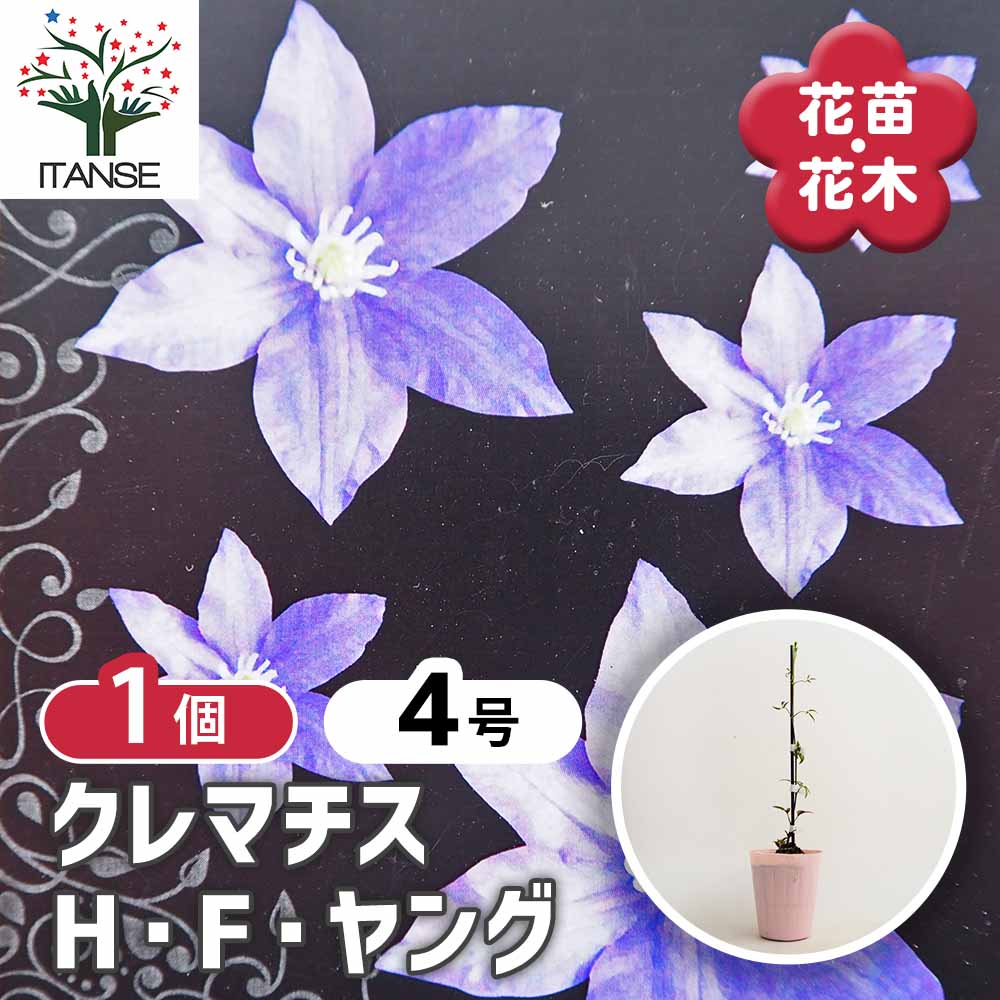 ばなな様確認用 ポケットサインがマイナンバーカードのスマホ搭載に対応 | ポケット