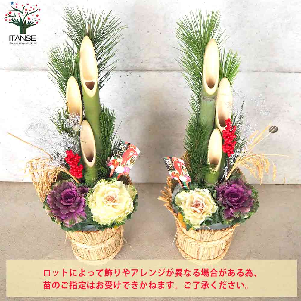 お正月飾り 門松(かどまつ) こも巻【正月飾り （サイズイメージ：高さ