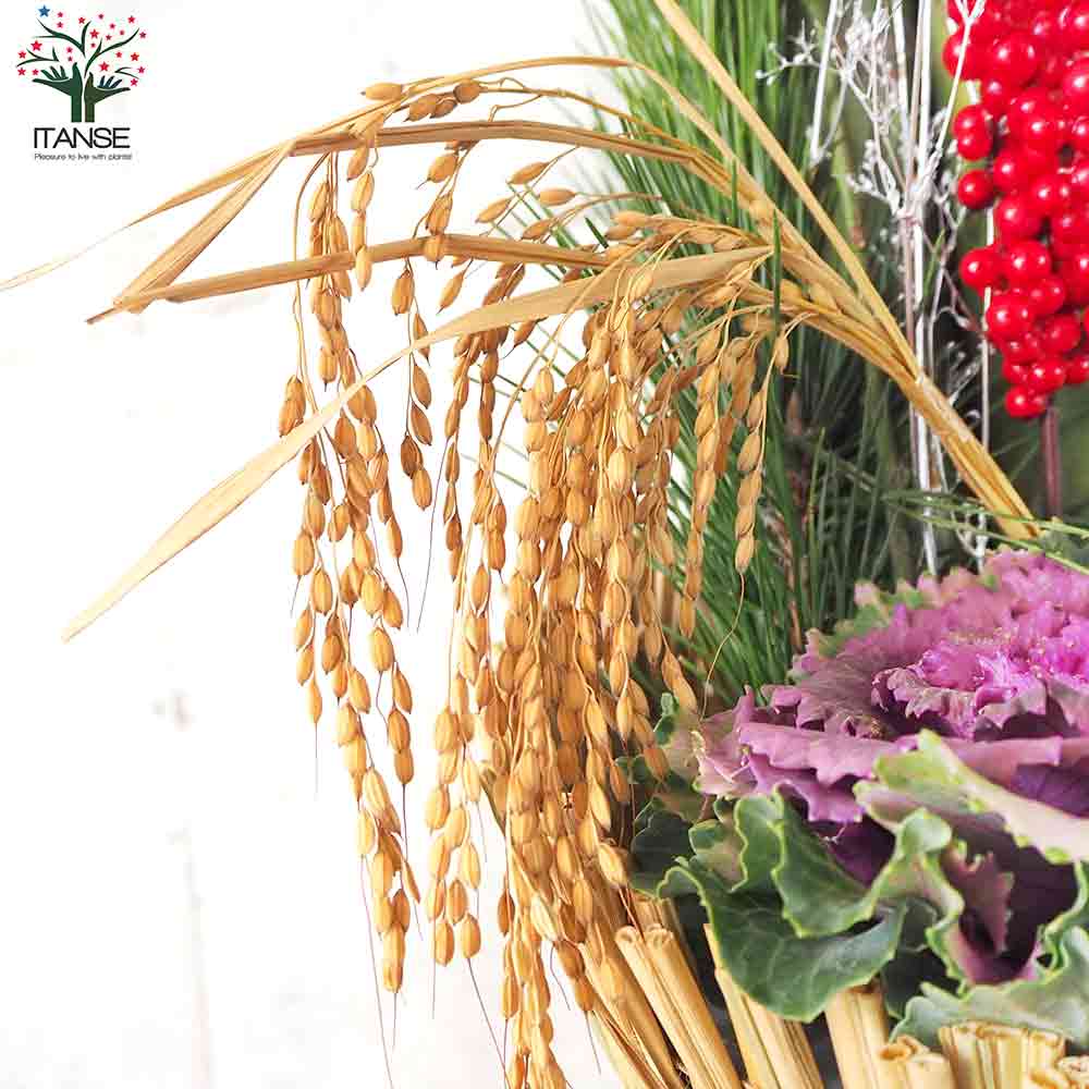 松とコンパクターのお正月しめ縄飾り