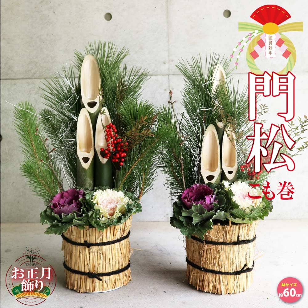 12月25日入荷 お正月飾り 門松(かどまつ) こも巻【正月飾り （サイズイメージ：高さ約60～70cm×幅約27～37cm×奥行約24～27cm）】