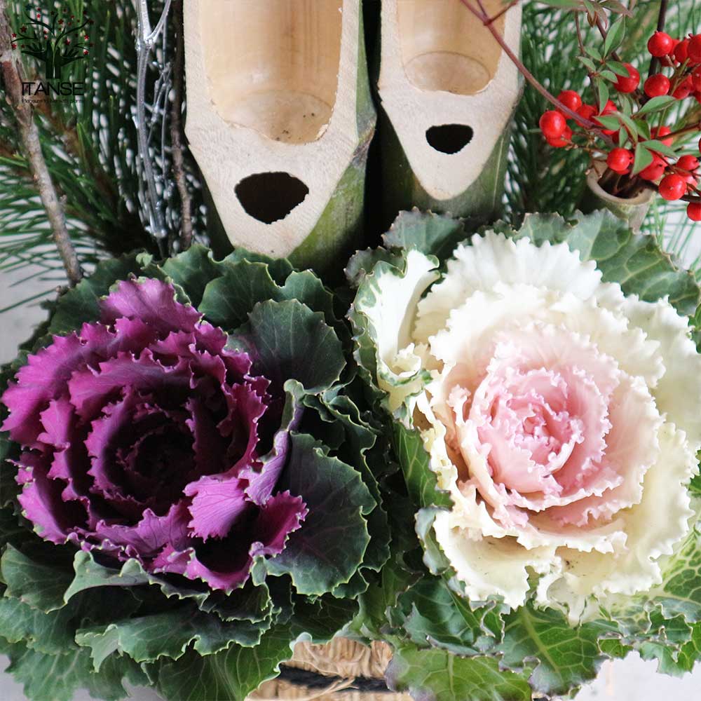 12月25日入荷 お正月飾り 門松(かどまつ) こも巻【正月飾り （サイズイメージ：高さ約60～70cm×幅約27～37cm×奥行約24～27cm）】