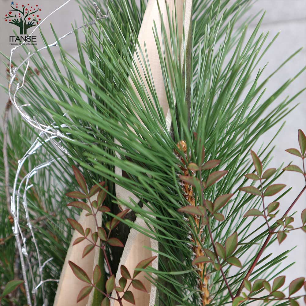 12月25日入荷 お正月飾り 門松(かどまつ) こも巻【正月飾り （サイズイメージ：高さ約60～70cm×幅約27～37cm×奥行約24～27cm）】