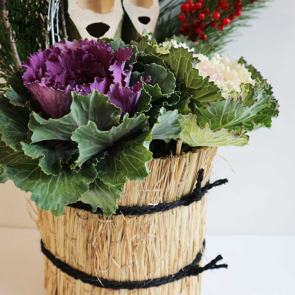 12月25日入荷 お正月飾り 門松(かどまつ) こも巻【正月飾り （サイズイメージ：高さ約60～70cm×幅約27～37cm×奥行約24～27cm）】