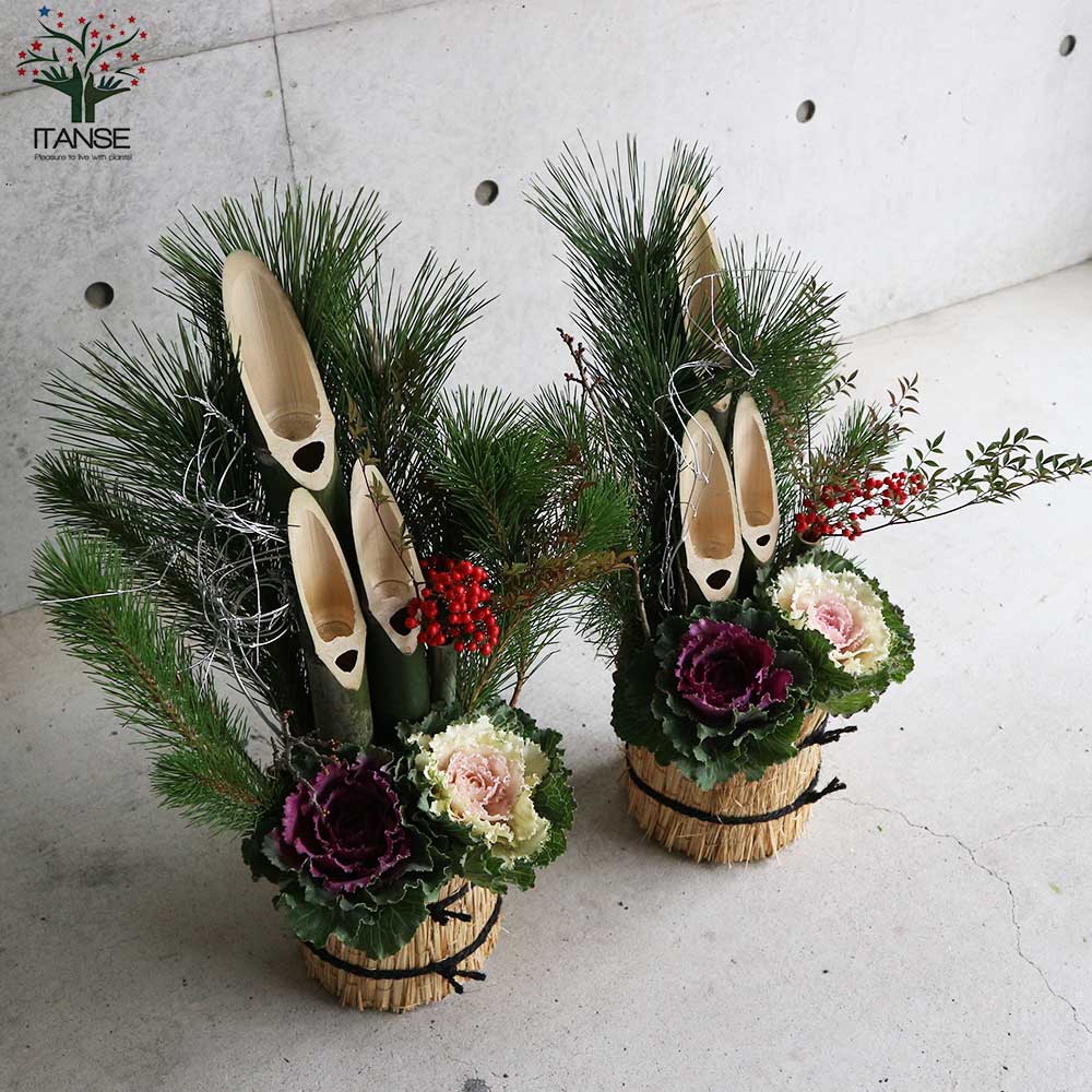 12月25日入荷 お正月飾り 門松(かどまつ) こも巻【正月飾り （サイズイメージ：高さ約60～70cm×幅約27～37cm×奥行約24～27cm）】