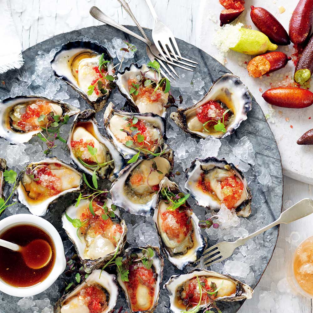 フィンガーライム レインフォレストパールの大苗(品種物 数量限定