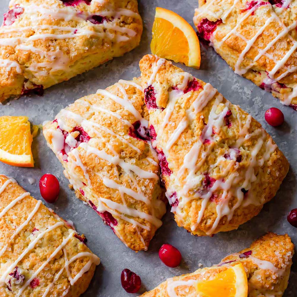 クランベリーの苗木【果樹苗 2年生 挿木苗12cmポット／1個