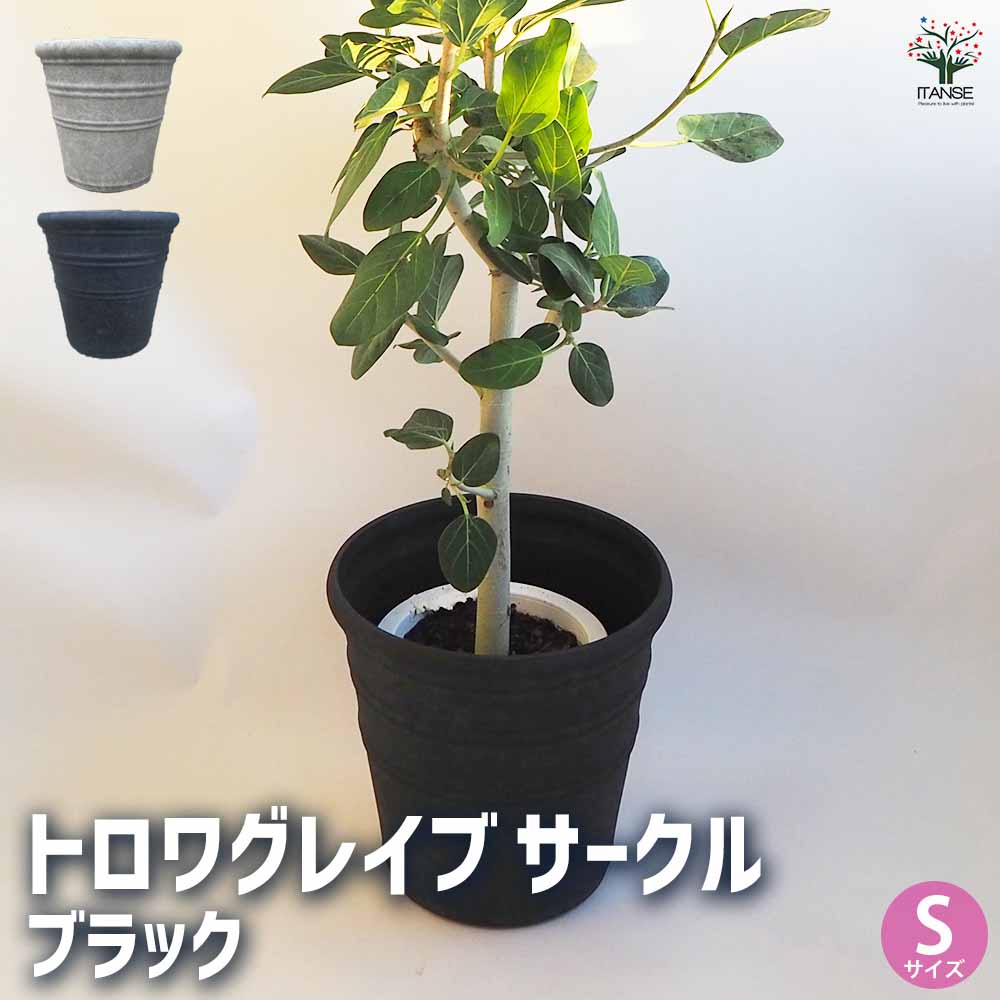 鉢カバー 鉢 トロワグレイブサークルSブラック 【鉢カバー ／1個売り