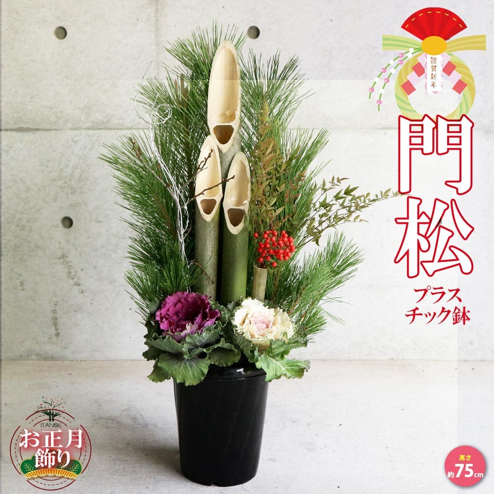 12月25日入荷 お正月飾り 門松(かどまつ) プラスチック鉢【正月飾り （サイズイメージ：高さ約75cm×幅約35～38cm×奥行約25cm）】