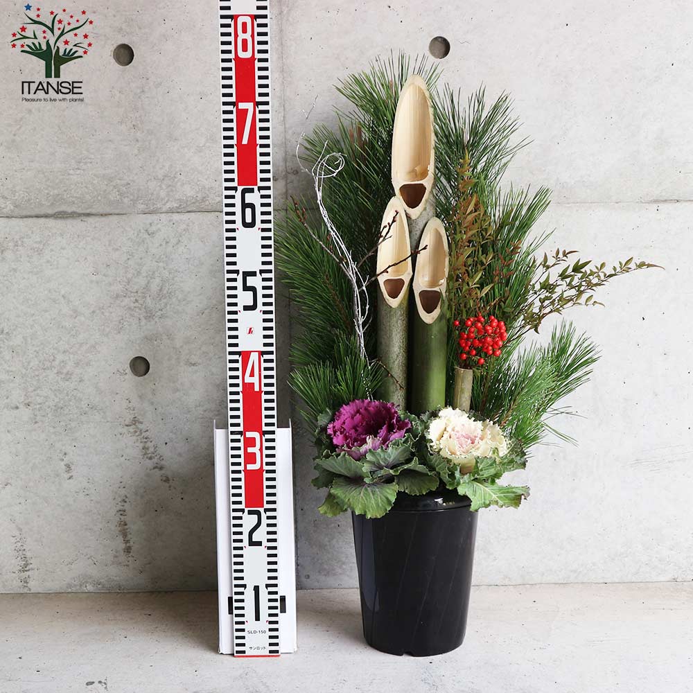 12月25日入荷 お正月飾り 門松(かどまつ) プラスチック鉢【正月飾り （サイズイメージ：高さ約75cm×幅約35～38cm×奥行約25cm）】