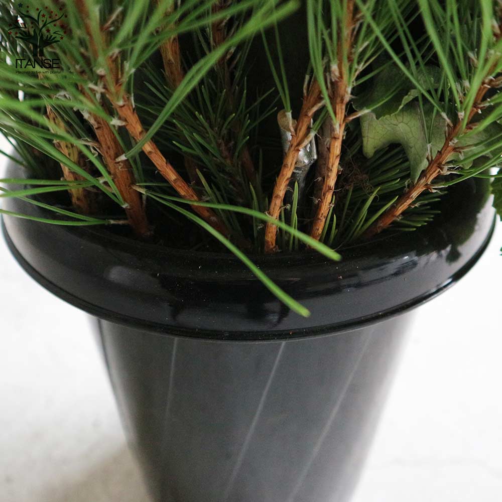 12月25日入荷 お正月飾り 門松(かどまつ) プラスチック鉢【正月飾り （サイズイメージ：高さ約75cm×幅約35～38cm×奥行約25cm）】