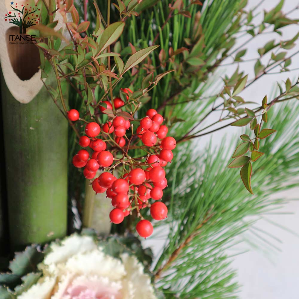 12月25日入荷 お正月飾り 門松(かどまつ) プラスチック鉢【正月飾り （サイズイメージ：高さ約75cm×幅約35～38cm×奥行約25cm）】