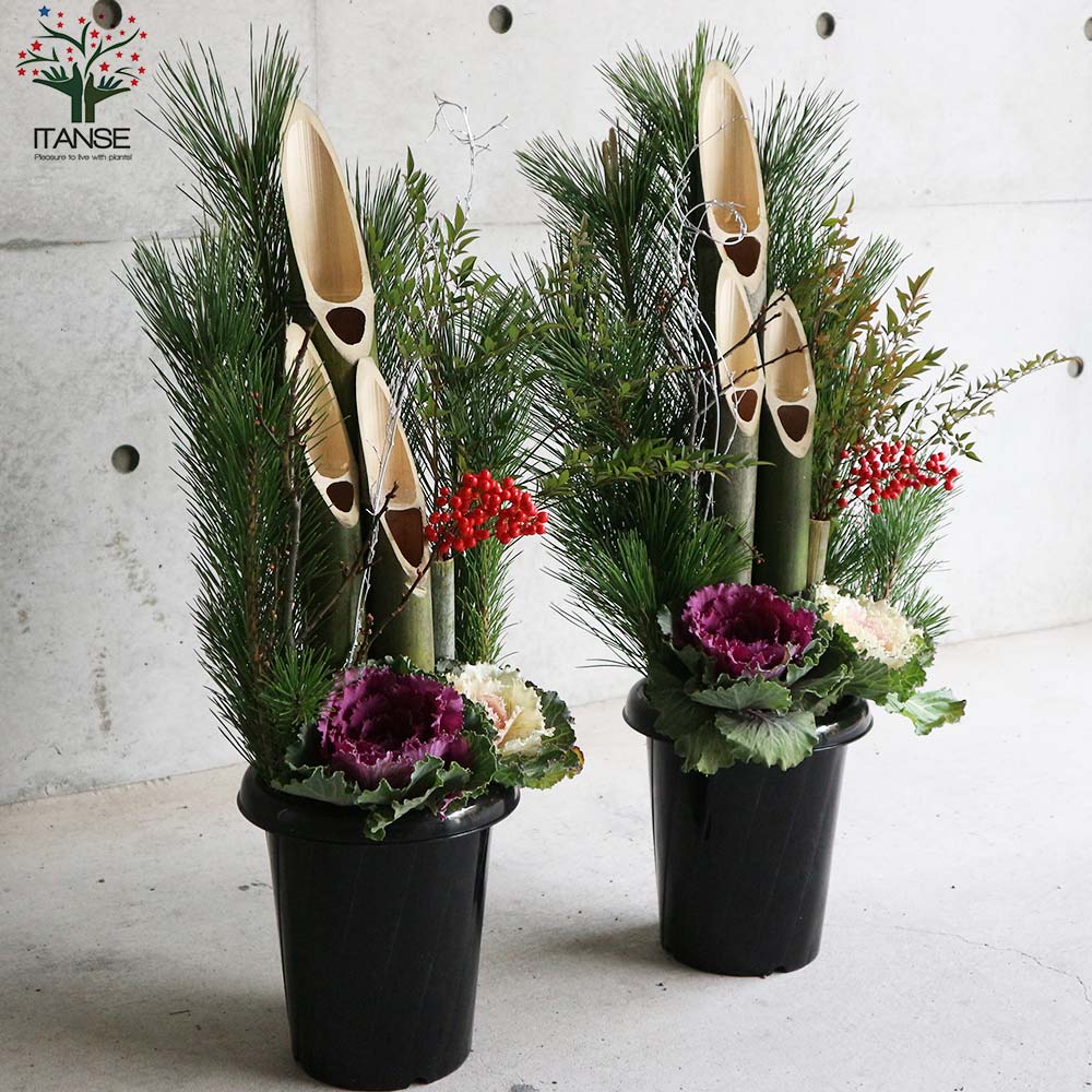 お正月飾り 門松(かどまつ) プラスチック鉢【正月飾り （サイズ