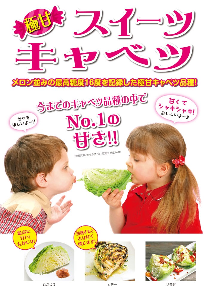 キャベツの苗 スイーツキャベツ【野菜の苗 15cmポット売り】