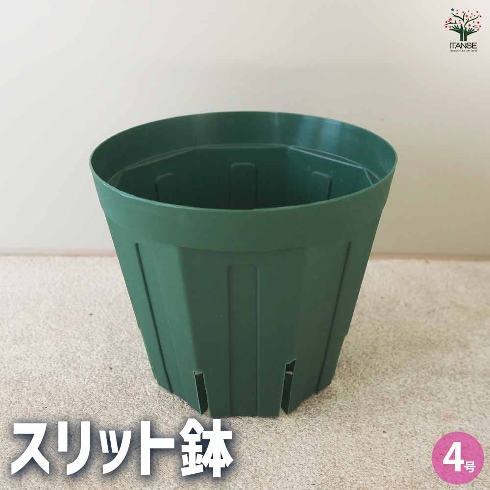 スリット鉢 【プラ鉢 4号】｜ 【植物のITANSE】全品送料無料・即