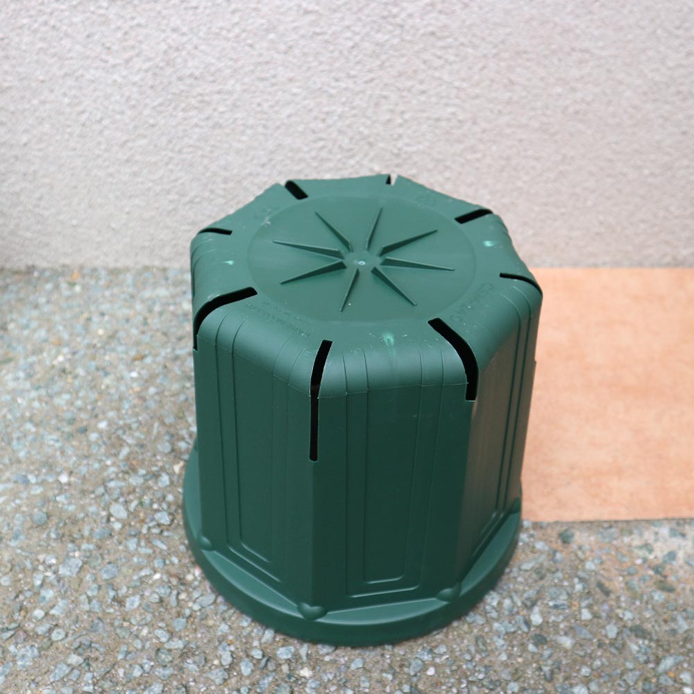 栽培セット すずなりピーマン【野菜の苗 9cm～10.5cmポット苗／お買い得2個セット】