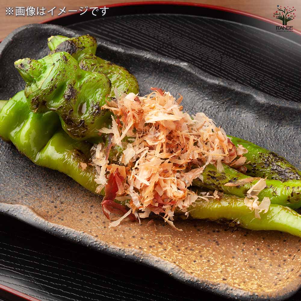 とうがらしの苗 万願寺唐辛子2個～ 【野菜の苗 3.5号】