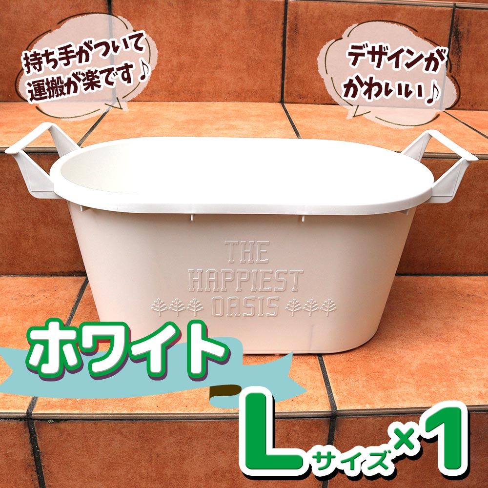 栽培セット スイートバジル【ハーブの苗 9cm～10.5cmポット苗／お買い得3個セット】