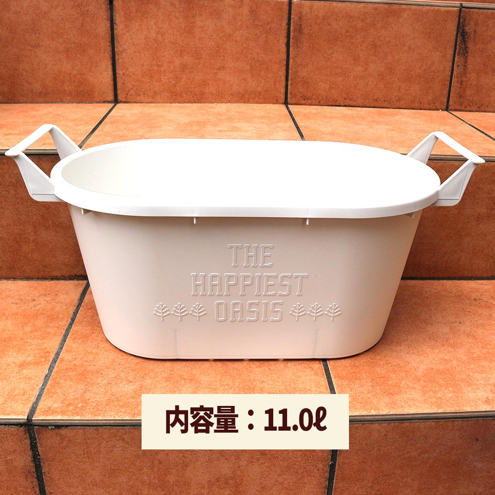 栽培セット スイートバジル【ハーブの苗 9cm～10.5cmポット苗／お買い得3個セット】