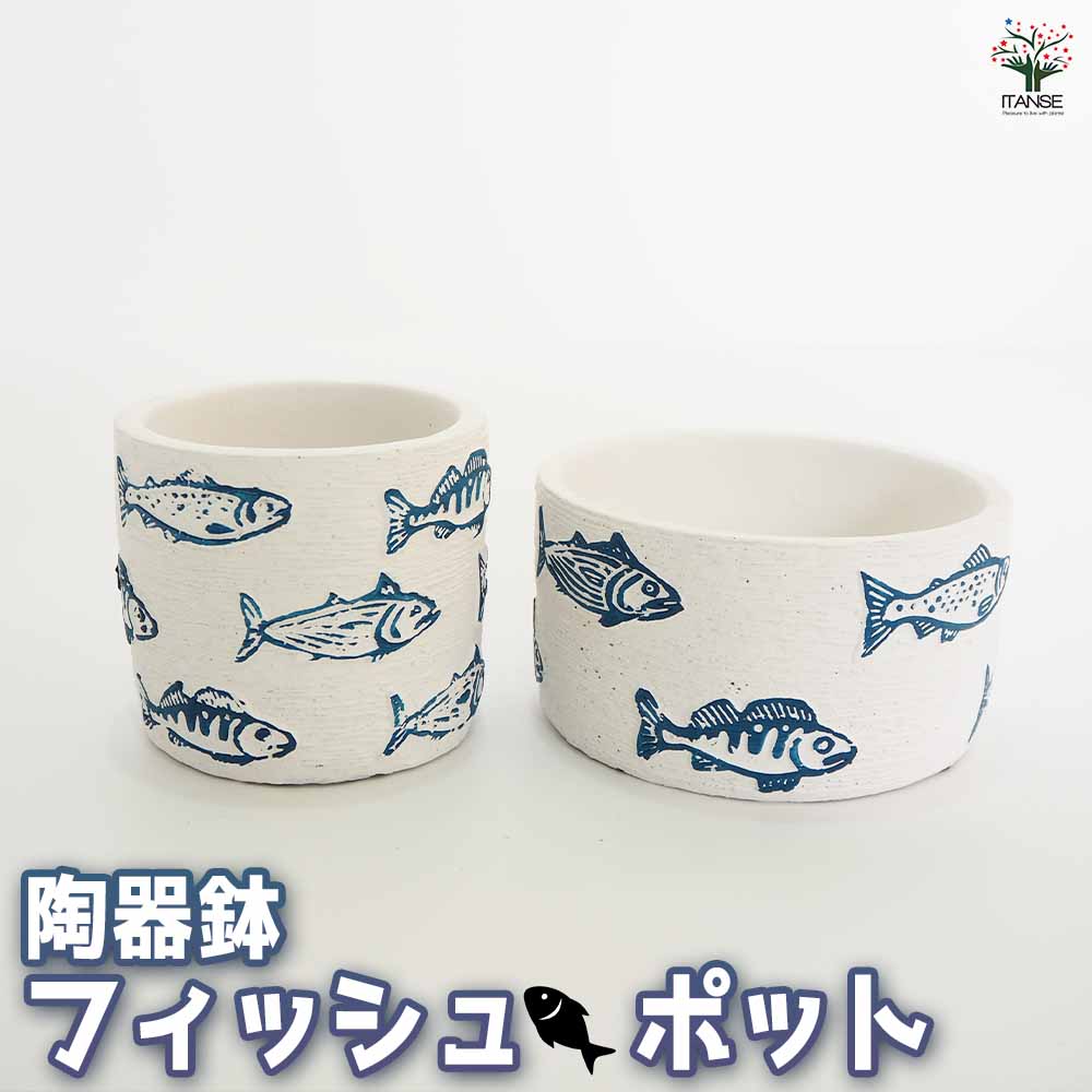 フィッシュポット 【陶器鉢 】｜ 【植物のITANSE】全品送料無料