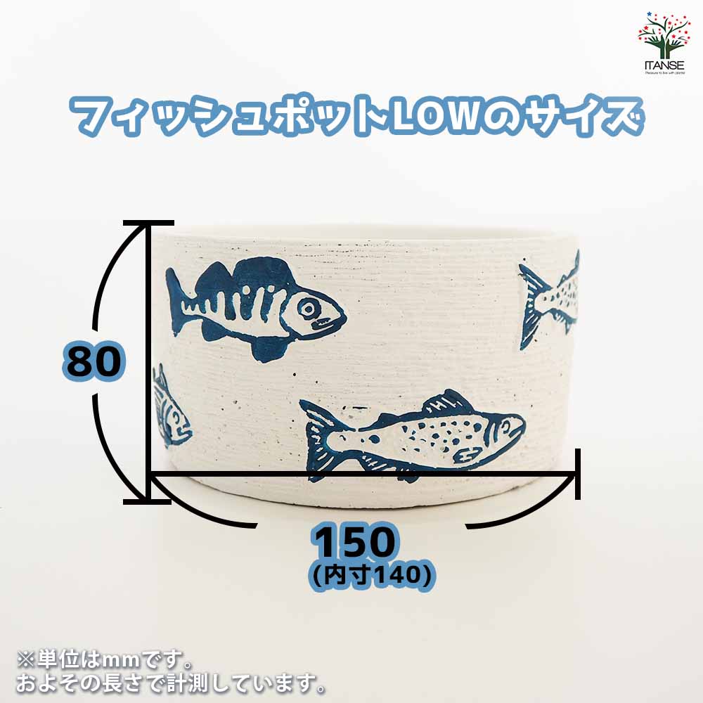 フィッシュポット 【陶器鉢 】｜ 【植物のITANSE】全品送料無料
