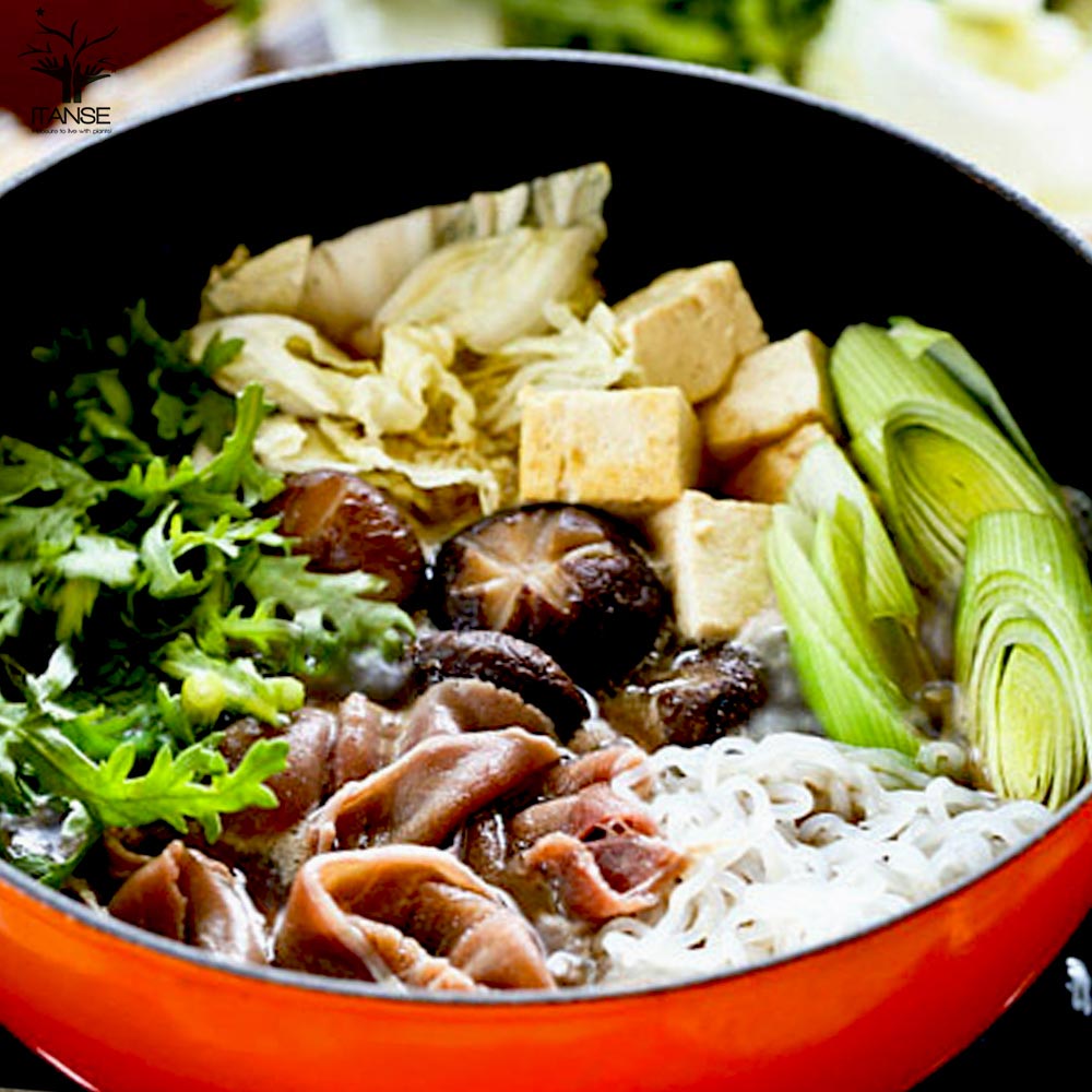 下仁田ねぎの苗 多粒蒔き苗／とろ～り甘い:しもにたネギ2個～【野菜の苗 10.5cm半硬質ポット 実生苗】