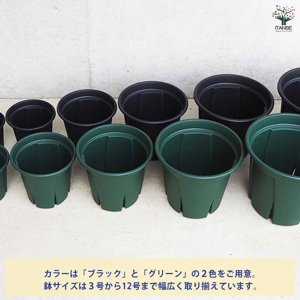 植木鉢 根っこつよし【スリット プラ鉢】｜ 【植物のITANSE