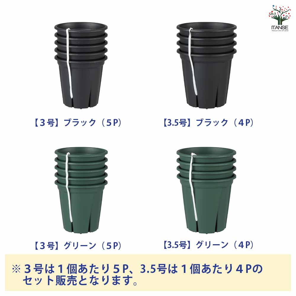 植木鉢 根っこつよし【スリット プラ鉢】｜ 【植物のITANSE