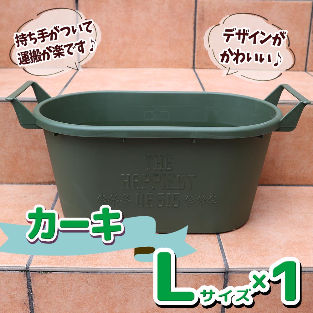 栽培セット スイートバジル【ハーブの苗 9cm～10.5cmポット苗／お買い得3個セット】