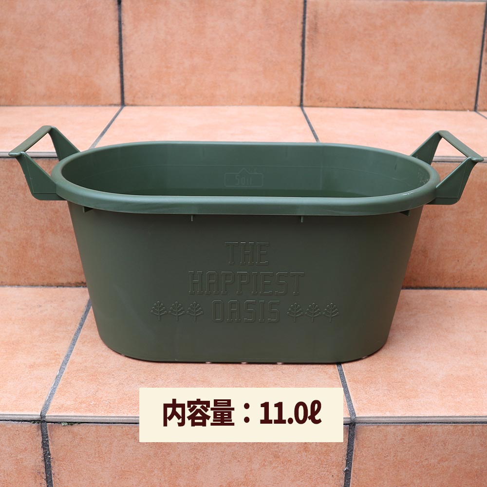 栽培セット スイートバジル【ハーブの苗 9cm～10.5cmポット苗／お買い得3個セット】