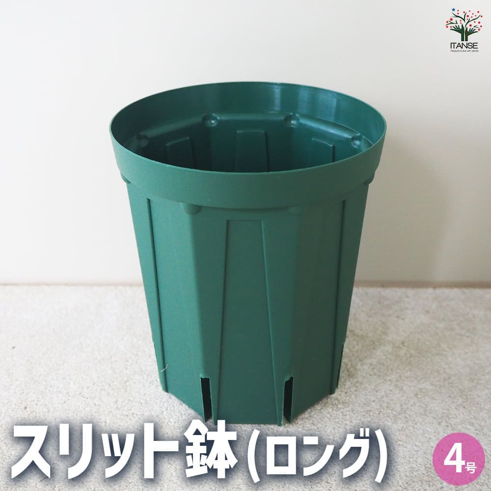 スリット鉢 【プラ鉢 4号ロング】｜ 【植物のITANSE】全品送料