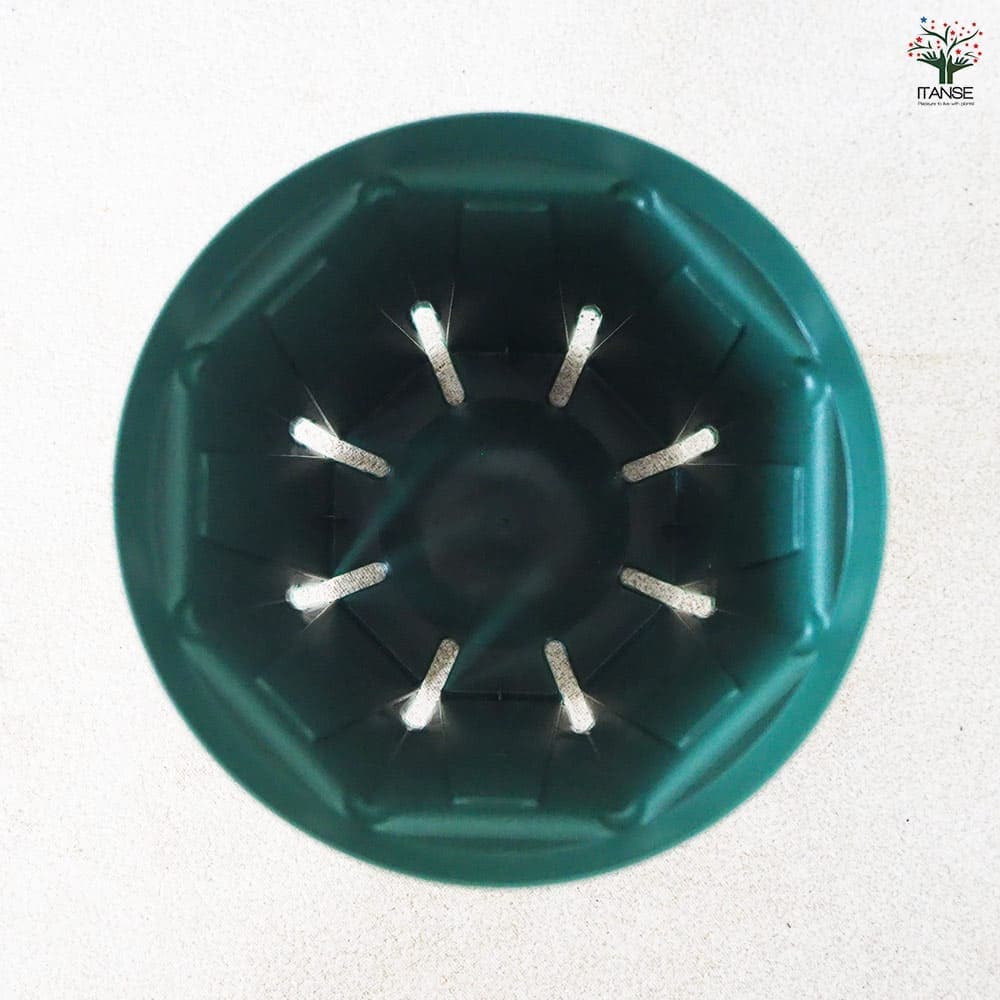 スリット鉢 【プラ鉢 4号ロング】｜ 【植物のITANSE】全品送料