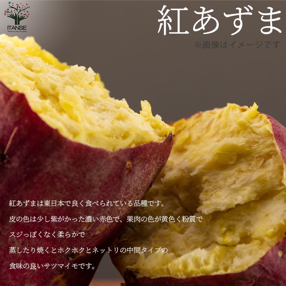 さつまいも切苗 品種:紅あずま【野菜の苗/切苗(約25本/束)】