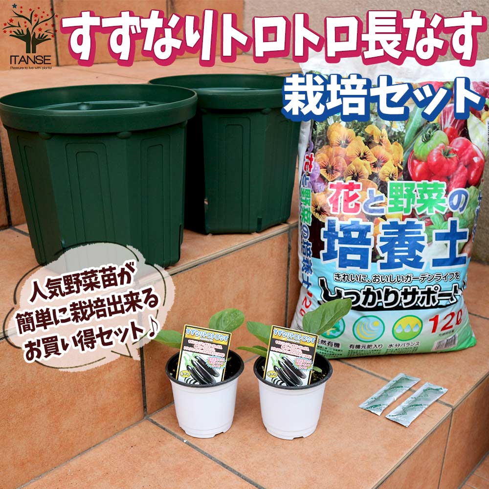 栽培セット すずなり長ナス 【野菜の苗 9～10.5cmポット苗／お買い得2個セット】